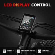 Load image into Gallery viewer, S9734a051992843929d241bec331395ecr