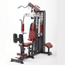 Load image into Gallery viewer, DS916  compact multigym