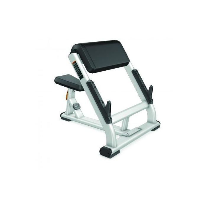 Preacher Curl Bench