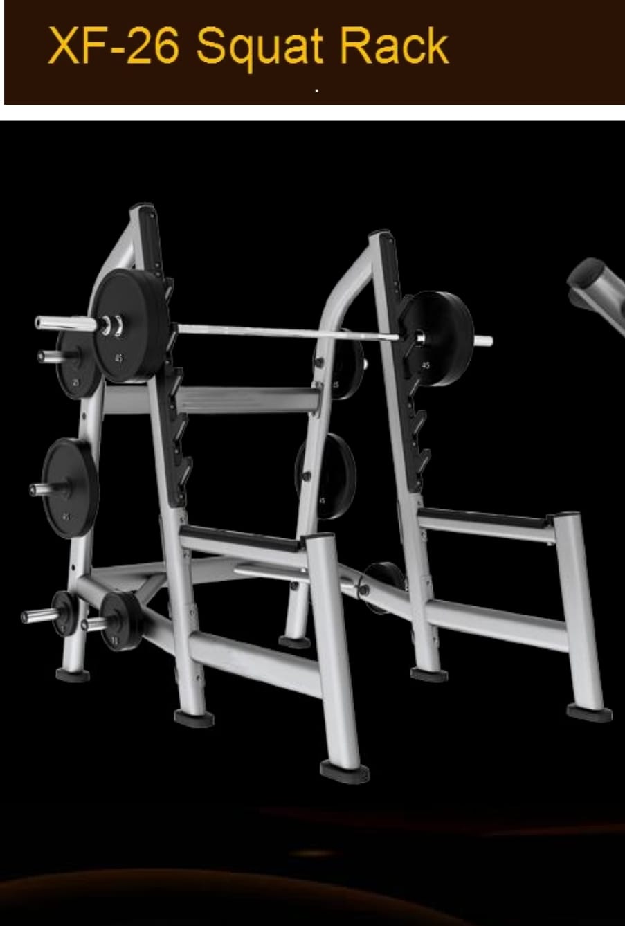 Commercial Squat Rack