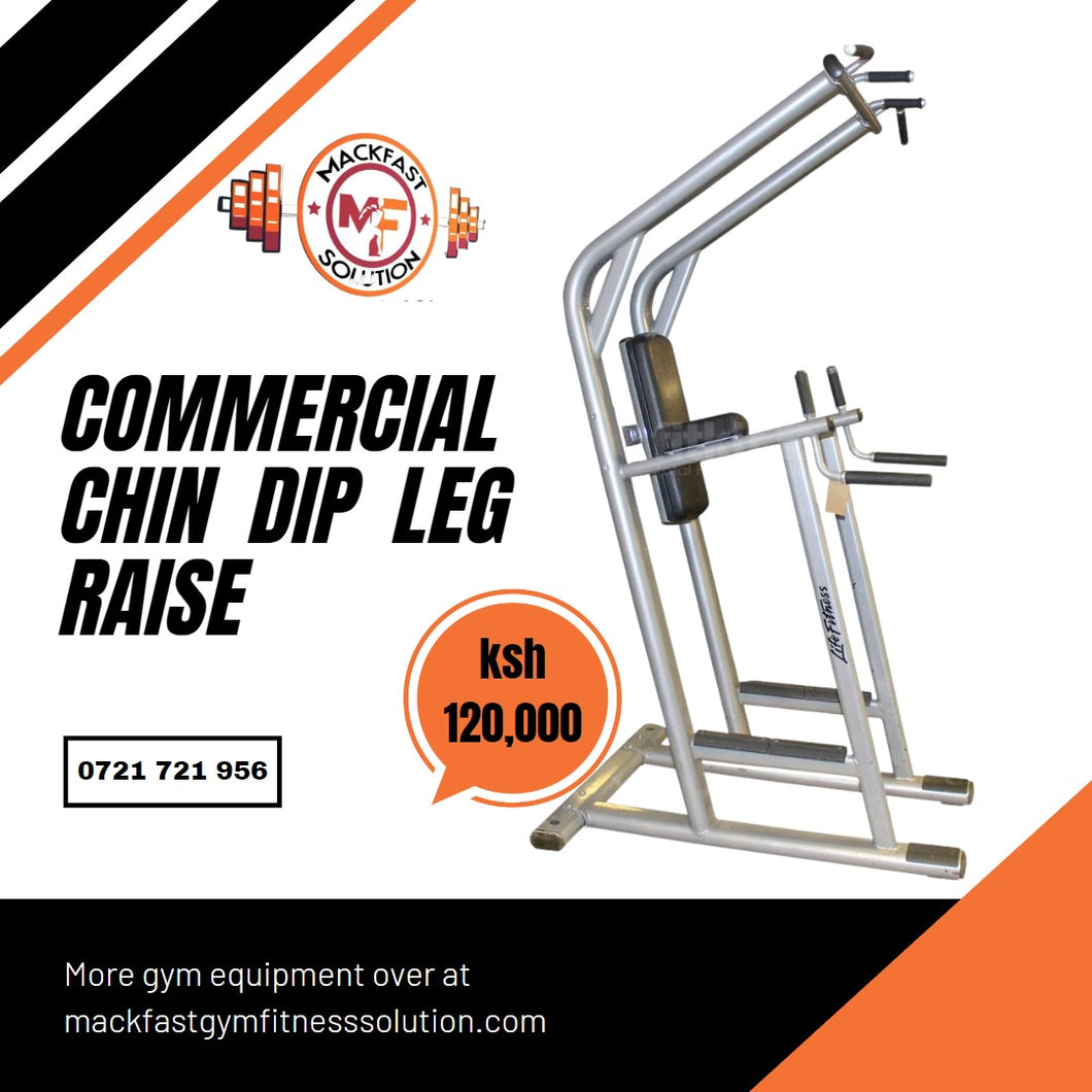 Commercial chin dip leg raise