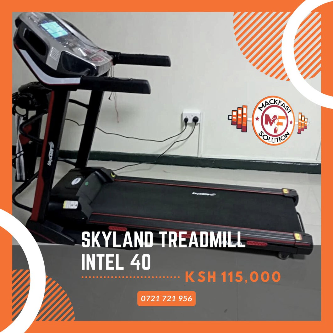 Skyland intel 40