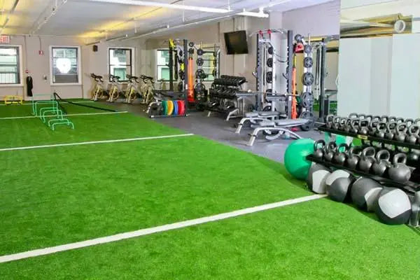 Artificial Grass and Gym AstroTurf